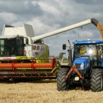 Price of pumpkin has raised rapidly